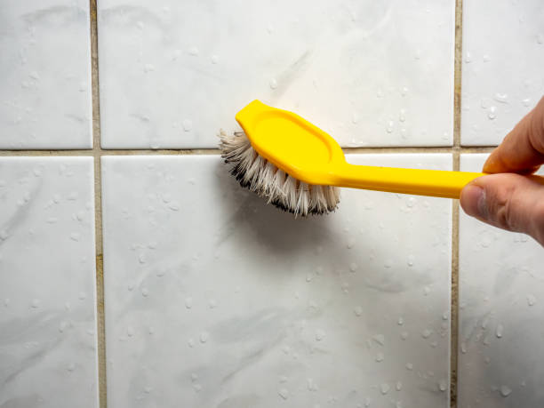 Best Residential Mold Removal  in Valdez, AK