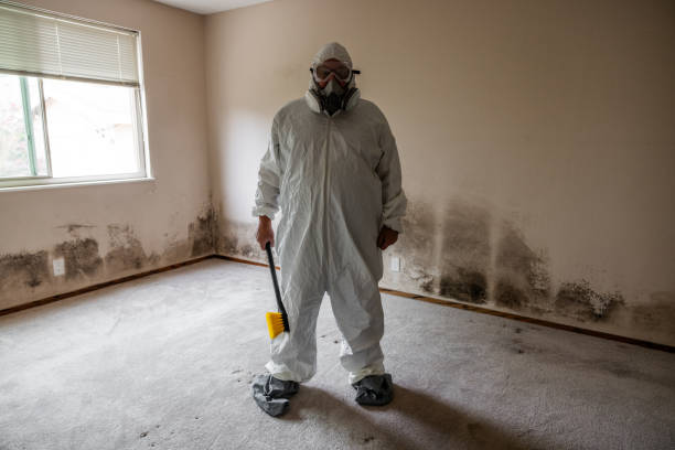 Best Office Mold Removal Services  in Valdez, AK